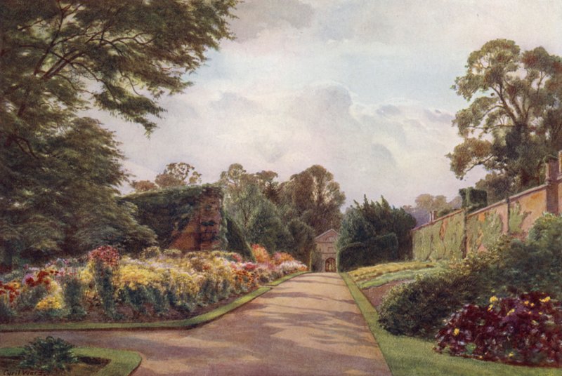 Frühe Chrysanthemen, Claremont von Cyril Ward