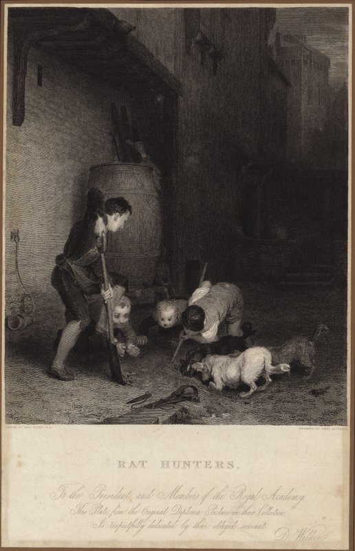 Rattenjäger von David Wilkie