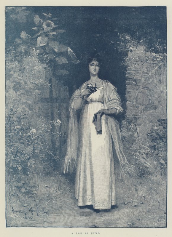 Eine Rose von Devon von Davidson Knowles