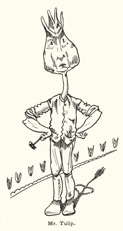 Herr Tulip von Dion Clayton Calthrop