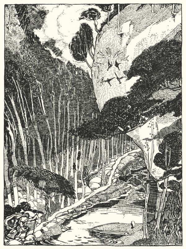 Der dunkle Wald von Dion Clayton Calthrop