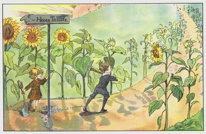 Zum verborgenen Schatz von Dorothy Furniss
