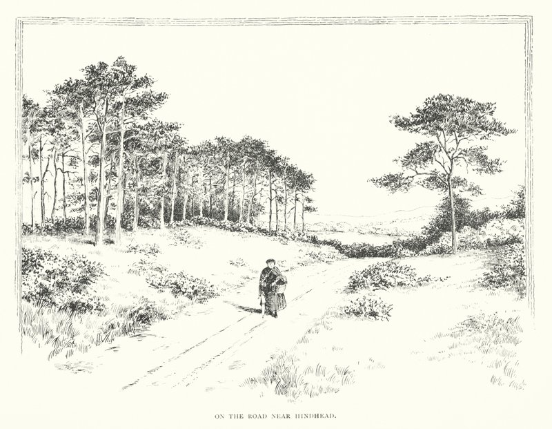 Auf der Straße nahe Hindhead von Duncan Moul