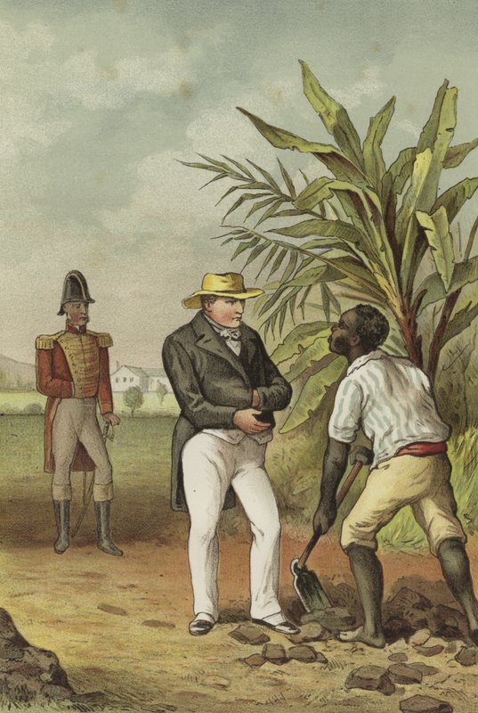 Napoleon auf St. Helena von Dutch School