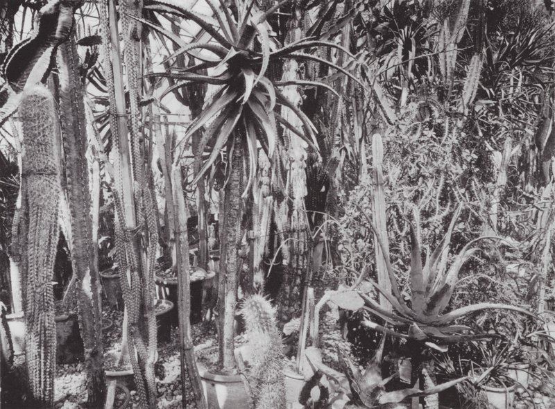 Kew Gardens, ca. 1900 von E. J. Wallis
