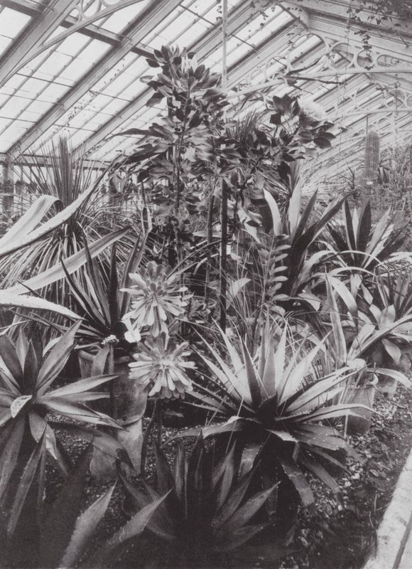 Kew Gardens, um 1900 von E. J. Wallis