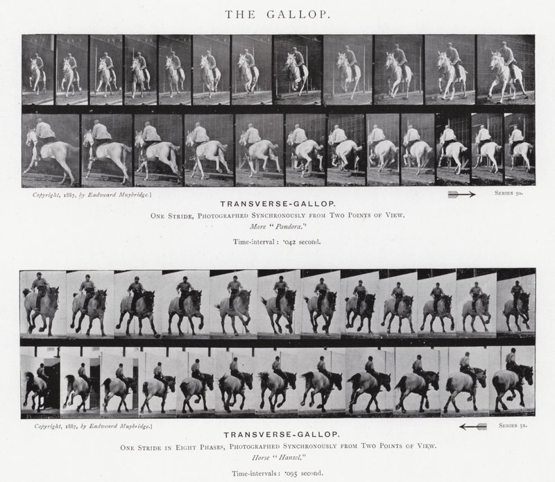 Der Galopp von Eadweard Muybridge