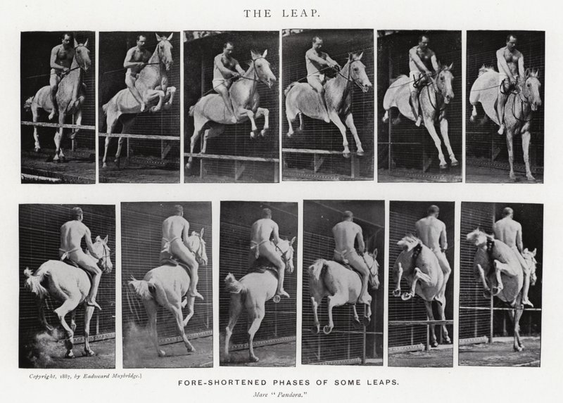 Eadweard Muybridge: Der Sprung (s/w Foto) von Eadweard Muybridge