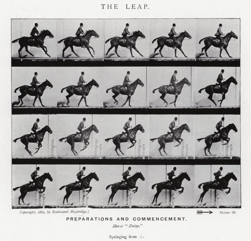 Eadweard Muybridge: Der Sprung (s/w Foto) von Eadweard Muybridge