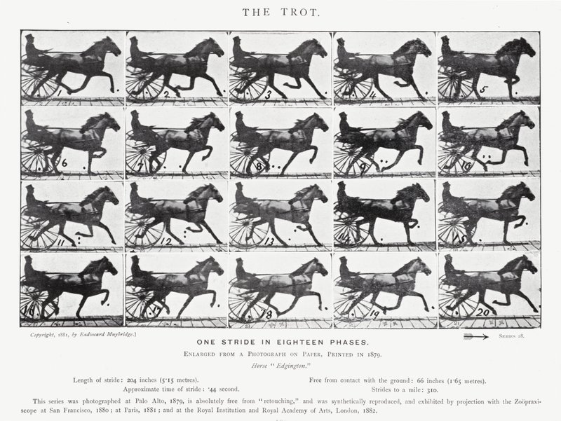 Der Trab von Eadweard Muybridge
