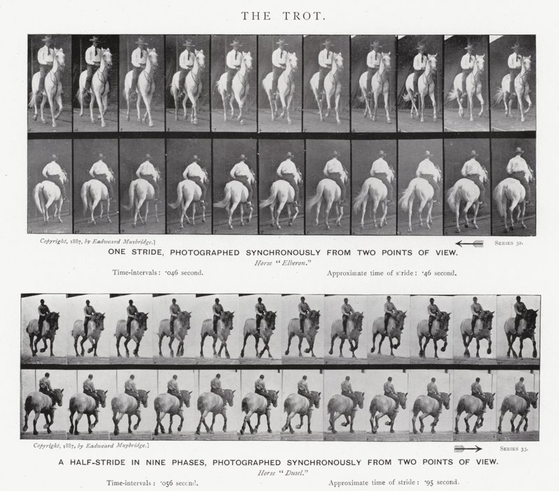 Eadweard Muybridge: Der Trab von Eadweard Muybridge