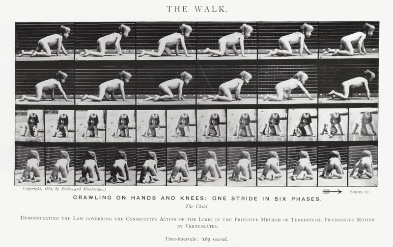 Eadweard Muybridge: Der Gang von Eadweard Muybridge