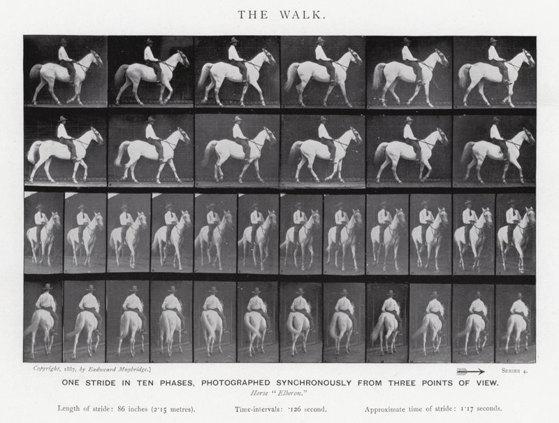 Eadweard Muybridge: Der Gang von Eadweard Muybridge