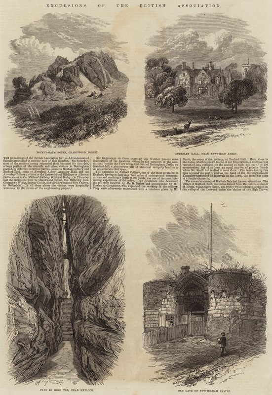 Exkursionen der British Association von Edmund Morison Wimperis