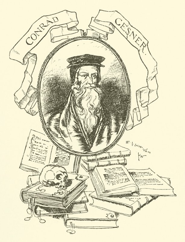 Conrad Gesner von Edmund Joseph after Sullivan