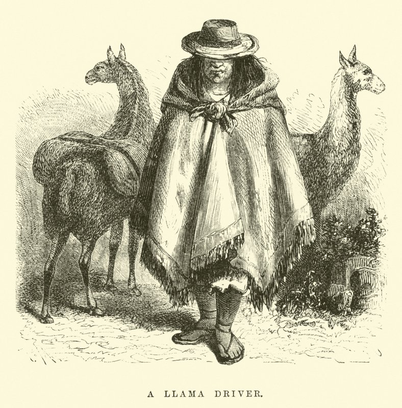 Ein Lamatreiber von Edouard Riou