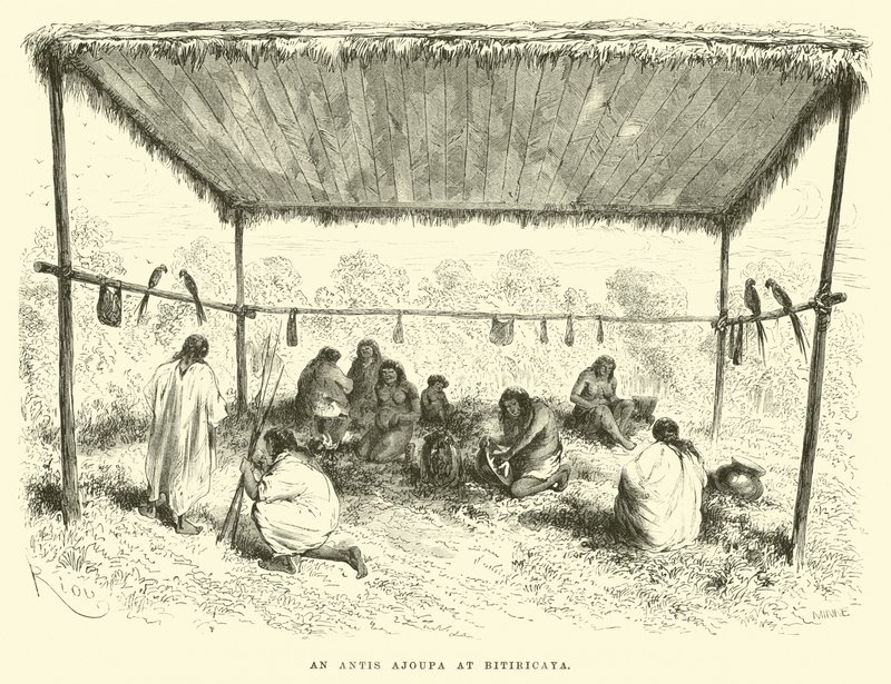 Ein Antis Ajoupa in Bitiricaya von Edouard Riou