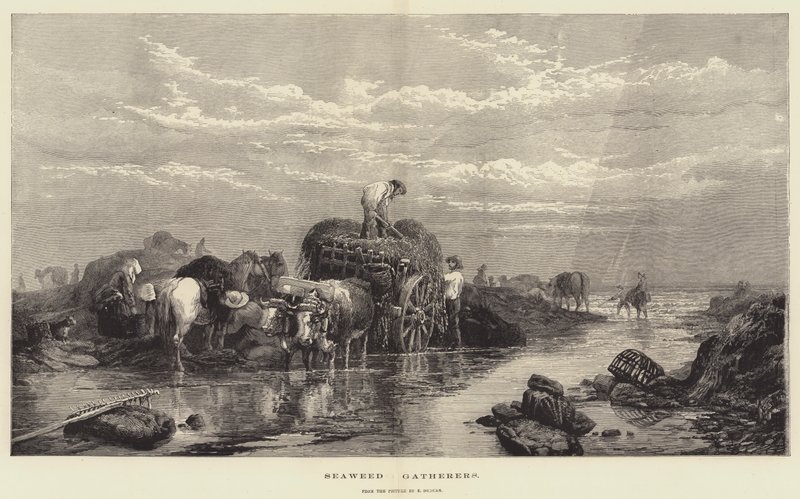 Seetangsammler von Edward Duncan