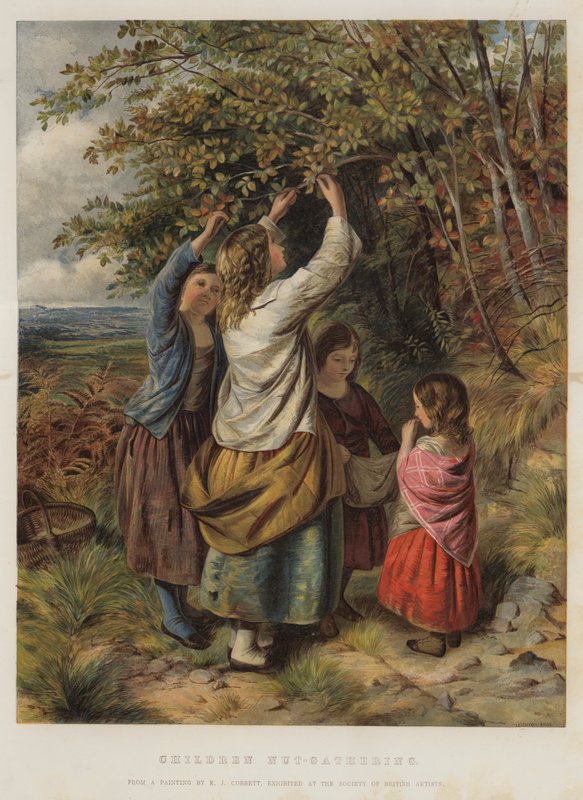 Kinder beim Nüsse-Sammeln von Edward John Cobbett