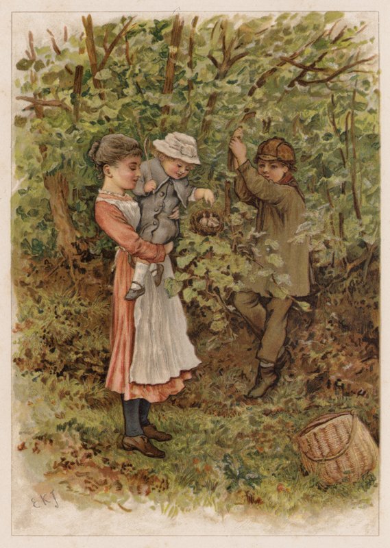 Flapsy und Pecksy von Edward Killingworth Johnson