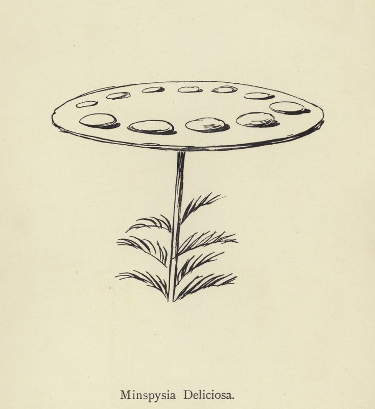 Minspysia Deliciosa von Edward Lear