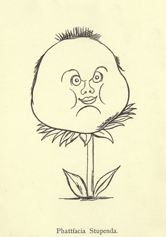 Phattfacia Stupenda von Edward Lear