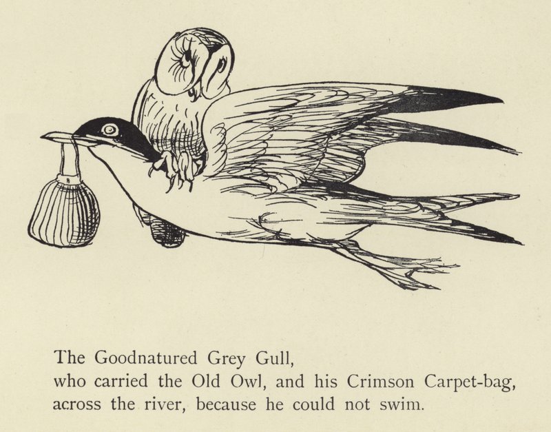 Die gutmütige Graumöwe von Edward Lear