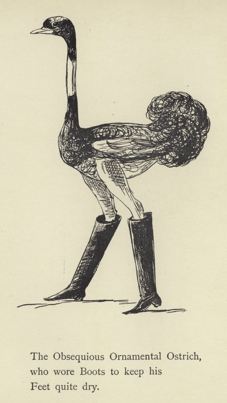 Der unterwürfige ornamentale Strauß von Edward Lear