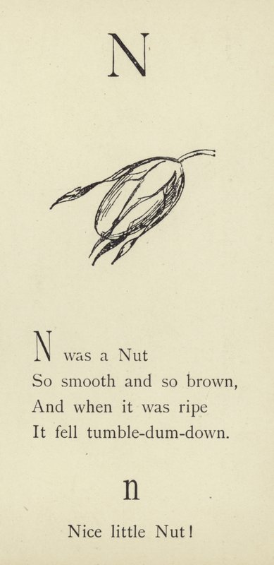 Der Buchstabe N von Edward Lear