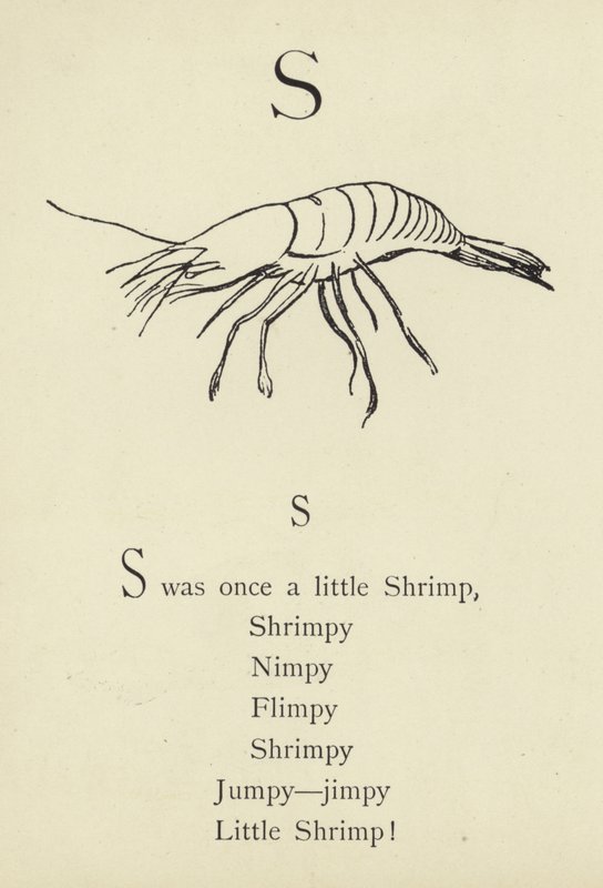 Der Buchstabe S von Edward Lear