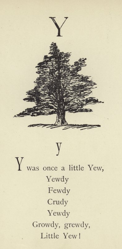 Der Buchstabe Y von Edward Lear