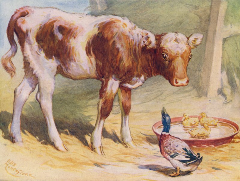 Kalb und Enten von Edward Brice Montefiore