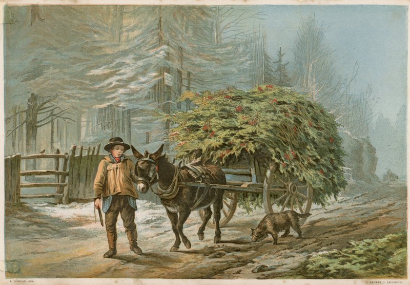 Ein Mann führt einen Esel von Edward Duncan