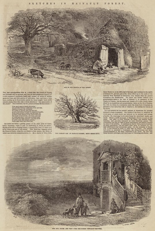 Skizzen im Hainault-Wald von Edward Duncan