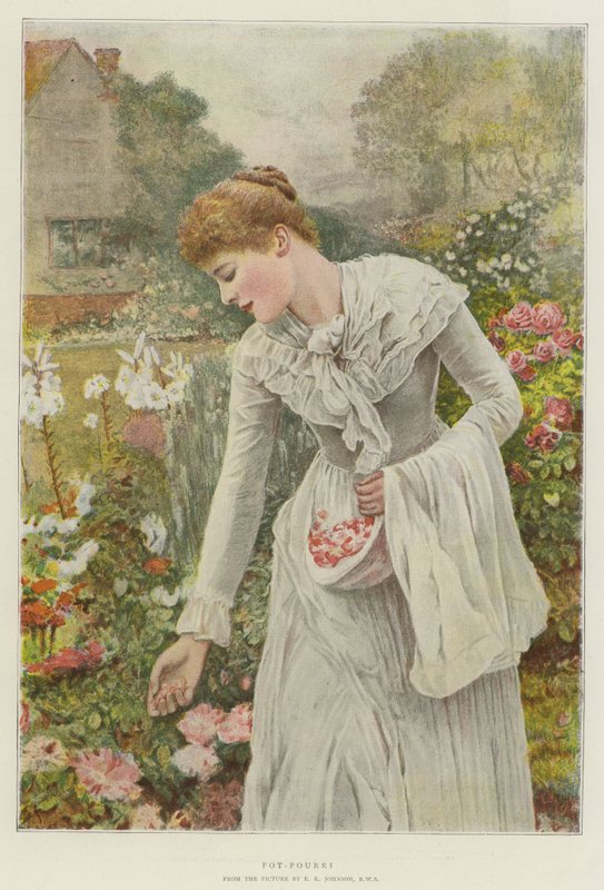 Potpourri von Edward Killingworth Johnson