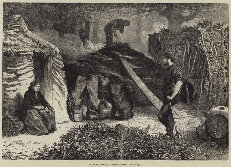 Köhler im Epping Forest von Edwin Buckman