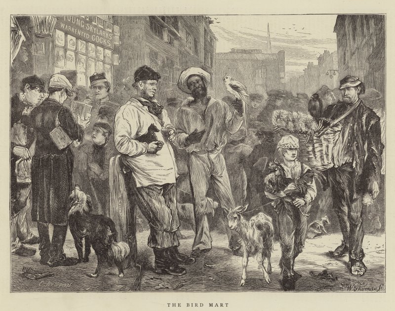 Der Vogelmarkt von Edwin Buckman