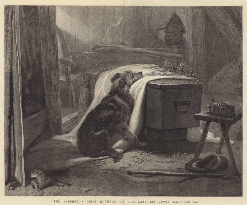 Der Haupttrauergast des Schäfers von Edwin Landseer
