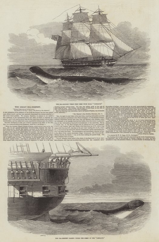 Die große Seeschlange von Edwin Weedon