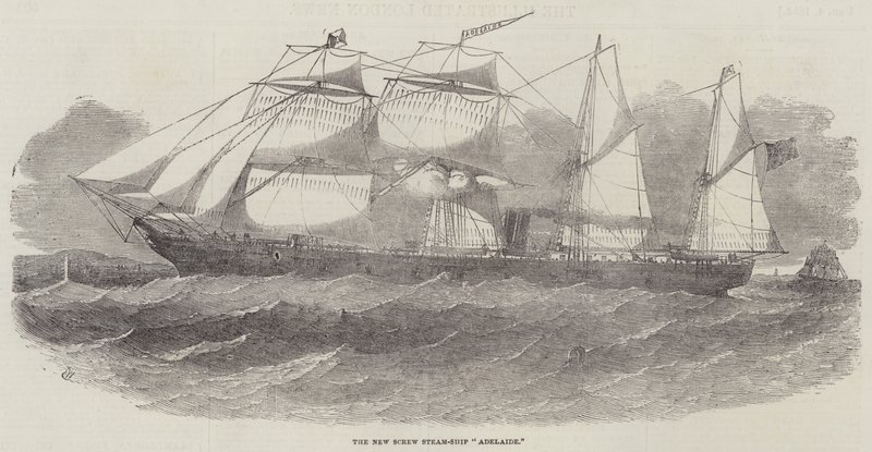 Das neue Schraubendampfschiff Adelaide von Edwin Weedon