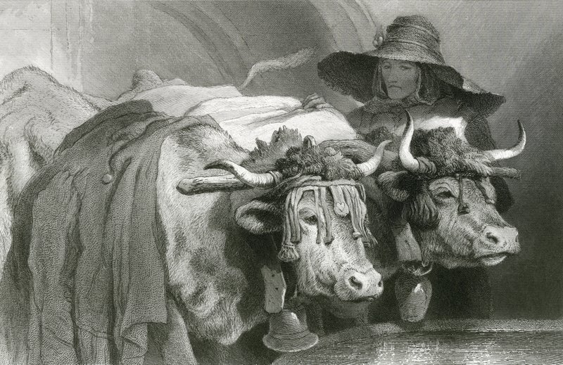 Ochsen am Tank, Genf (Gravur) von Edwin (after) Landseer