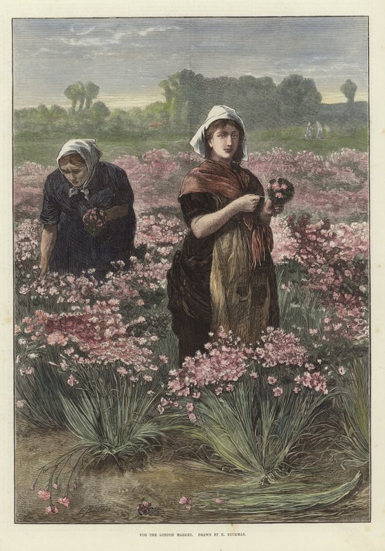 Für den Londoner Markt von Edwin Buckman