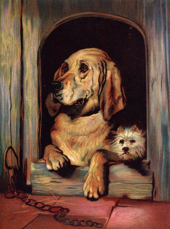 Würde und Unverschämtheit von Edwin Landseer