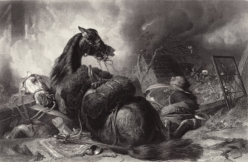 Krieg von Edwin Landseer