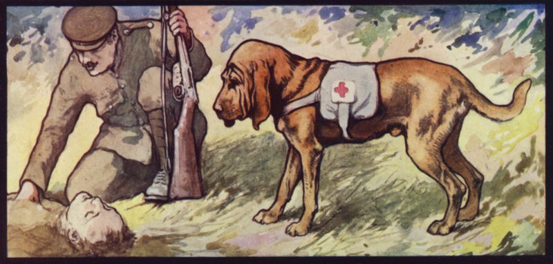 Rettungshund von Edwin Noble