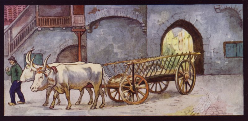 Zugochsen in Spanien von Edwin Noble