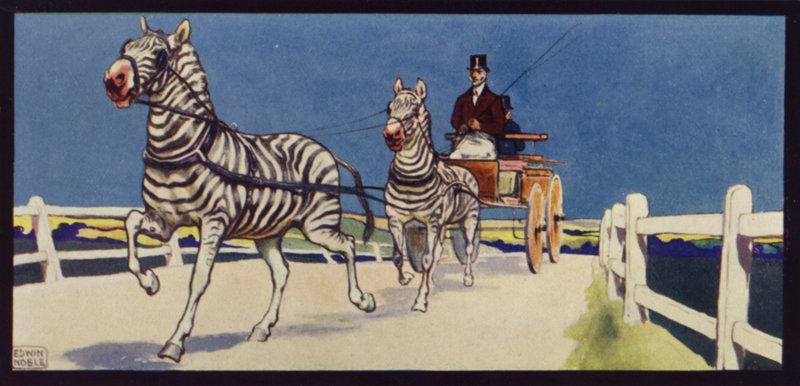 Zebras im Tandem von Edwin Noble