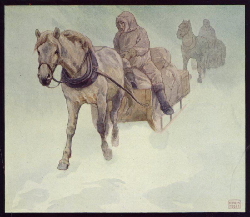 Sibirische Ponys in der Antarktis (Farblithografie) von Edwin Noble