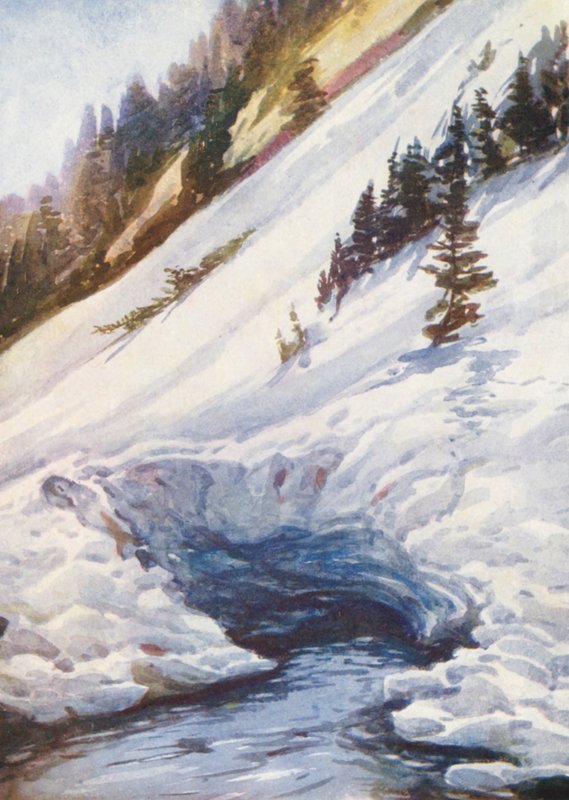 Schweiz von Effie Jardine