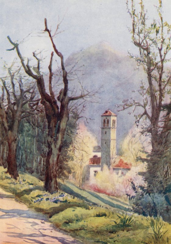 Schweiz von Effie Jardine